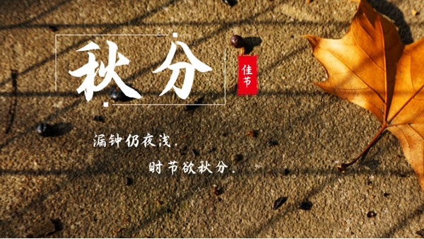 樓上樓門窗 | 白露秋分夜,一夜冷一夜，高端門窗安排上！